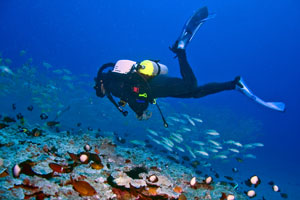 Picture of diver swimming with rebreather system.
